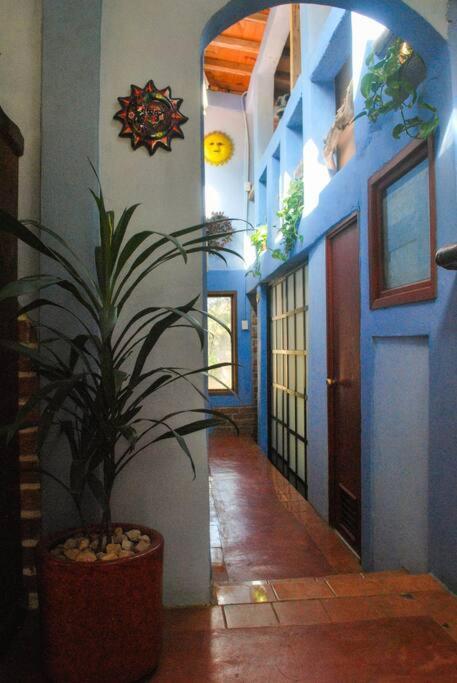 Hostal Casa 4 Estaciones, Coliving & Nature San Cristóbal de Las Casas Exterior foto